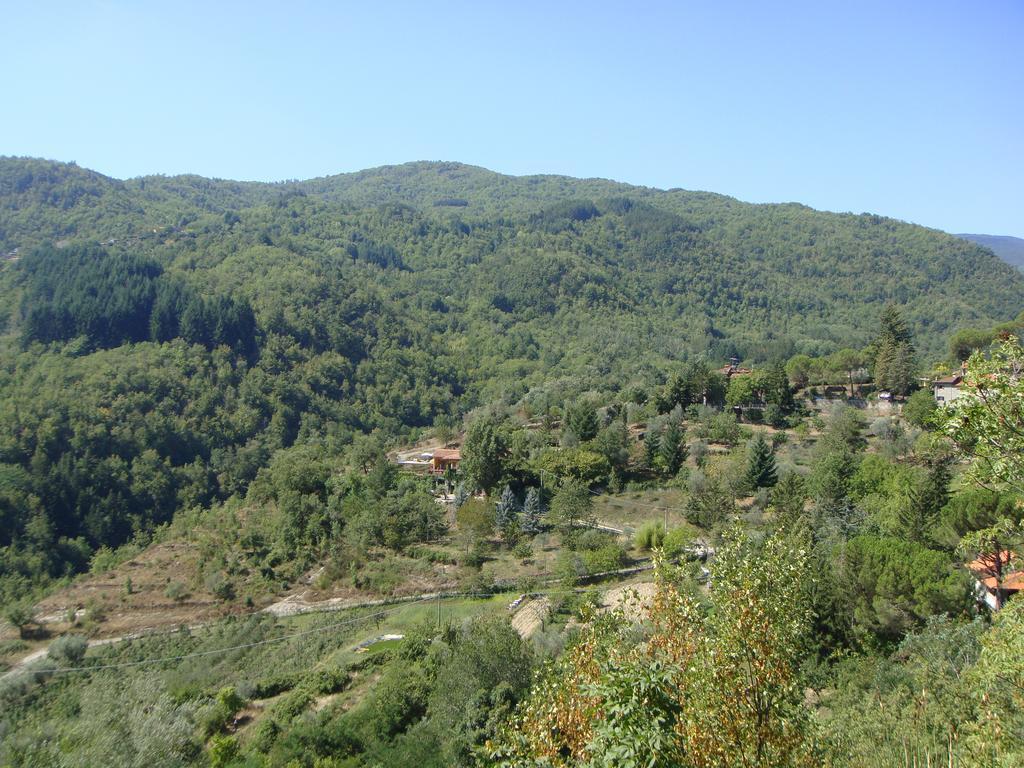 Deimori Lamassa Private Villa With Pool Castel San Niccolo Exterior photo